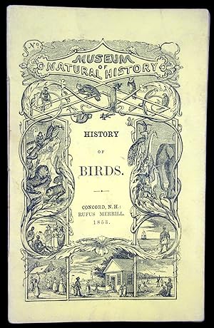 History of Birds, Child's Book About Birds part IV