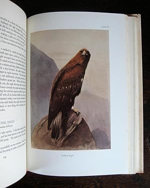 Bild des Verkufers fr Pirates and Predators: the piratical and predatory habits of birds. By Colonel R. Meinertzhagen zum Verkauf von James Fergusson Books & Manuscripts