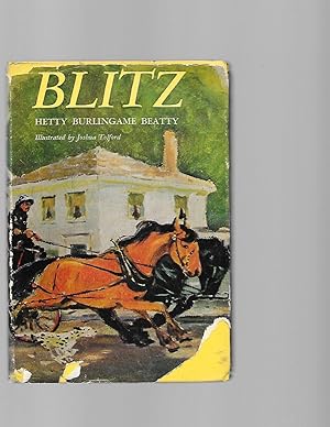 Seller image for Blitz for sale by TuosistBook