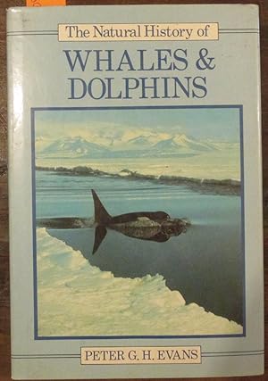 Seller image for Natural History of Whales & Dolphins, The for sale by Reading Habit