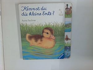 Seller image for Kennst du die kleine Ente? Erstes Wissen ber Tiere for sale by ANTIQUARIAT FRDEBUCH Inh.Michael Simon