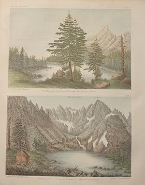 Two 1864 Aquatints of High Lakes in Central Carpathia