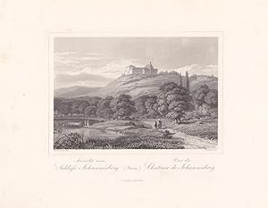 Ansicht vom Schloss Johannisberg, Rhein, Stahlstich um 1850 von Rudolf nach Dielmann, Blattgröße:...