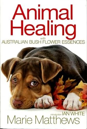 Animal Healing with Australian Bush Flower Essences