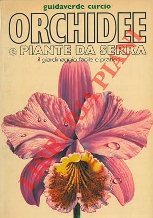 Orchidee e piante da serra.