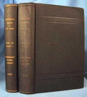 Immagine del venditore per FINAL REPORT OF THE STATE GEOLOGIST , MINERALOGY, BOTANY, ZOOLOGY Volume II, Parts 1 & 2 (2 Volumes) venduto da Nick Bikoff, IOBA