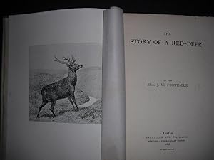 The Story of a Red-Deer