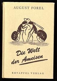 Die Welt der Ameisen.