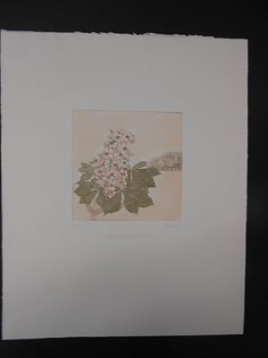 Hüttche, Sylvia: Kastanienblüten [Blätter u. Blüten, im Hintergrund Baumgruppe]. Original- Farb- ...