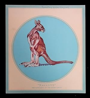 Twelve (12) Animal Illustrations- Animals of the Dixies Circus- Promotion for Dixie Cups