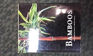 Seller image for Bamboos. Photographs by Paul Starosta. for sale by City Basement Books