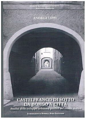 Seller image for Castelfranco di Sotto da borgo a citt. Analisi dello sviluppo e qualit del centro storico. for sale by Libreria Gull