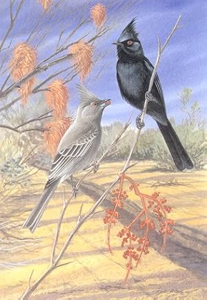 Bild des Verk�ufers f�r Restoring North America's birds: lessons from landscape ecology. zum Verkauf von Andrew Isles Natural History Books