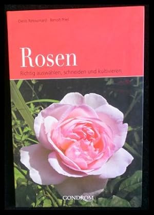 Seller image for Rosen Richtig auswhlen, schneiden und kultivieren for sale by ANTIQUARIAT Franke BRUDDENBOOKS