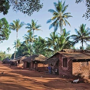 Seller image for Healthy Homes in Tropical Zones : Improving Rural Housing in Asia and Africa for sale by GreatBookPrices