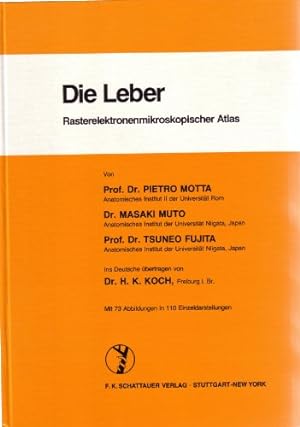 Immagine del venditore per Die Leber : rasterelektronenmikroskop. Atlas. Ins Dt. bertr. von H. K. Koch venduto da Kepler-Buchversand Huong Bach