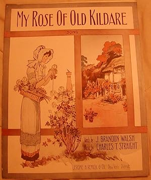 Seller image for My Rose of Old Kildare for sale by Hastings of Coral Springs