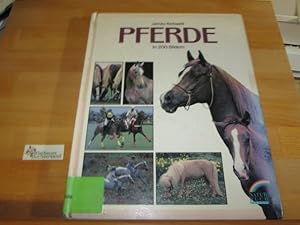 Seller image for Pferde in 200 Bildern. ( Ab 12 J.) for sale by Antiquariat im Kaiserviertel | Wimbauer Buchversand