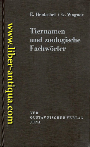 Bild des Verkufers fr Tiernamen und zoologische Fachwrter unter Bercksichtigung allgemeinbiologischer, anatomischer und physiologischer Termini zum Verkauf von Antiquariat Liber Antiqua