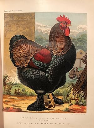 The Illustrated Book of Poultry. With Practical Schedules for Judging