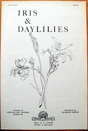 Iris & Daylilies