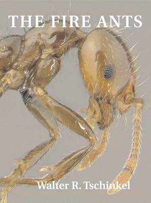 Seller image for Fire Ants for sale by GreatBookPrices