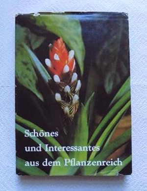 Schönes und Interessantes aus dem Pflanzenreich - Entdeckt im botanischen Garten der Martin-Luthe...