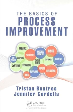 Imagen del vendedor de Basics of Process Improvement a la venta por GreatBookPrices