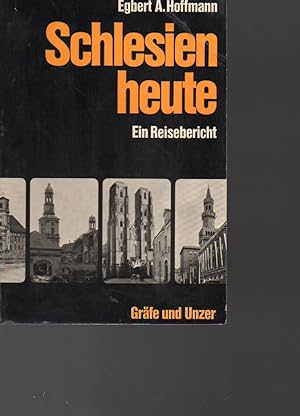 Seller image for Schlesien heute for sale by Clivia Mueller