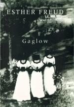 Seller image for Gaglow for sale by timkcbooks (Member of Booksellers Association)