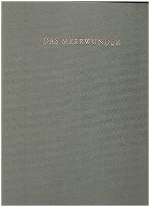 Imagen del vendedor de Das Meerwunder. Eine unwahrscheinliche Geschichte a la venta por Bcherpanorama Zwickau- Planitz