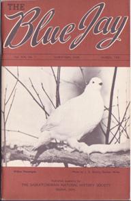 Seller image for The Blue Jay: March 1961, Vol. XIX, No. 1 for sale by Books on the Web