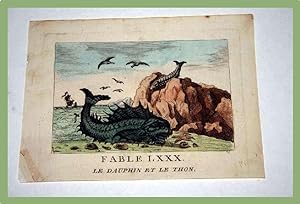 Gravure début XIXème siècle coloriée. FABLE LXXX. Le dauphin et le thon.