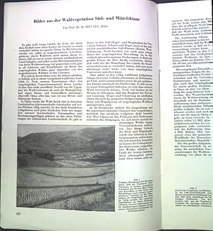 Seller image for Bilder aus der Waldvegetaton Sd- und Mittelchinas; for sale by books4less (Versandantiquariat Petra Gros GmbH & Co. KG)