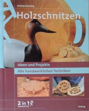 Image du vendeur pour Holzschnitzen. Ideen und Projekte. Alle handwerklichen Techniken. mis en vente par Antiquariat Gntheroth