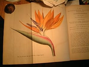 The Botanical Garden; or Flower-Garden Displayed. Vol 1V.