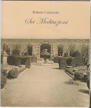 Roberto Caracciolo. Sei meditazioni. Introduction by Ellyn M. Toscano. Essay by Eduardo Cicelyn.