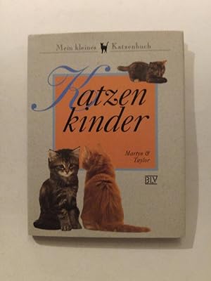 Image du vendeur pour Katzenkinder mis en vente par ANTIQUARIAT Franke BRUDDENBOOKS