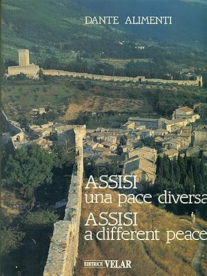 Imagen del vendedor de Assisi una pace diversa Assisi a different peace a la venta por Librodifaccia