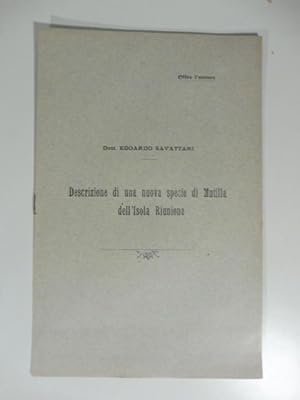 Descrizione di una nuova specie di mutilla dell'Isola Riunione