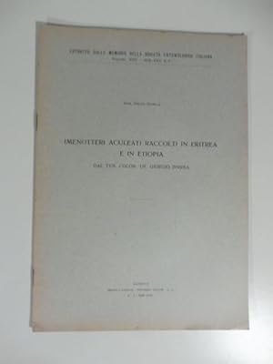 Imenotteri aculeati raccolti in Eritrea e in Etiopia da Giorgio Invrea