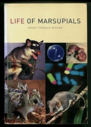 Life of Marsupials