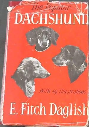 The Popular Dachshund