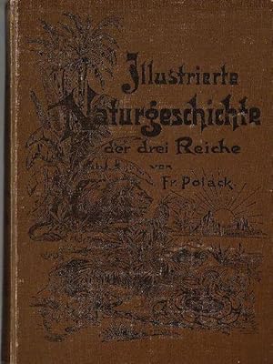 Bild des Verkufers fr Illustrierte Naturgeschichte der 3 Reiche in Bildern, Vergleichungen und Skizzen (Lehr- und Lernbuch fr gehobene Lehranstalten) zum Verkauf von Libro-Colonia (Preise inkl. MwSt.)