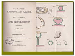 Gegenbaurs Morphologisches Jahrbuch - (Eine Zeitschrift für Anatomie und Entwicklungsgeschichte) ...