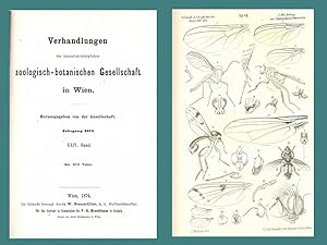 VERHANDLUNGEN DER KAISERLICH-KÖNIGLICHEN ZOOLOGISCH-BOTANISCHEN GESELLSCHAFT IN WIEN. (Band XXIV ...