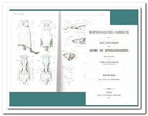Morphologisches Jahrbuch - (Eine Zeitschrift für Anatomie und Entwicklungsgeschichte) - 9. Band 1...