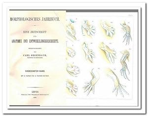 Morphologisches Jahrbuch - (Eine Zeitschrift für Anatomie und Entwicklungsgeschichte) - 17. Band ...