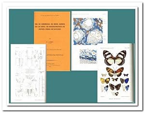 Sammelband mit 11 Abhandlungen aus verschiedenen Fachschriften zur Zoologie aus den Jahren 1899 b...