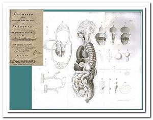 Bild des Verkufers fr Der Mensch nach den verschiedenen Seiten seiner Natur, Anthropologie fr das gebildete Publicum (Nur erste Abtheilung "Das leibliche Leben") zum Verkauf von Libro-Colonia (Preise inkl. MwSt.)